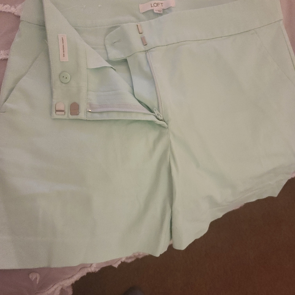 Loft Shorts - Picture 3 of 3